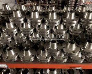 Inconel 690 Flansche