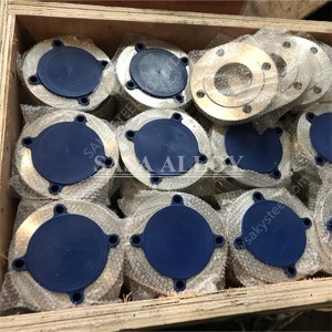 Titanium Grade 2 Flanges