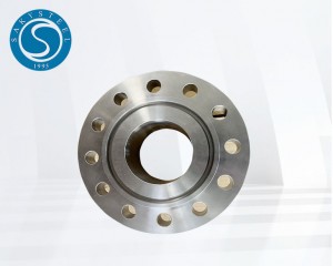 Inconel X750-Flansche