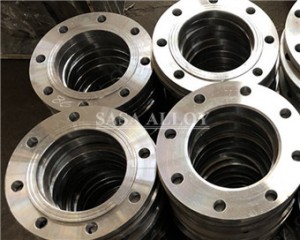 Nickel 200 Flanges