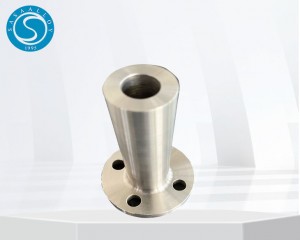 Nimonic 115 Flanges