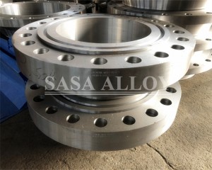 ASTM B381 Titanium Grade 5 Flanges image 3
