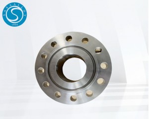 Nimonic 901 Flanges